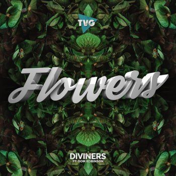 Diviners feat. Dom Robinson Flowers (feat. Dom Robinson)