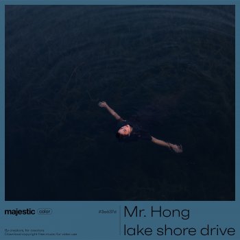 Mr. Hong feat. Michelle lake shore drive