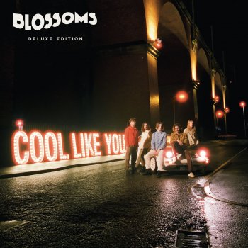 Blossoms Cool Like You - Acoustic