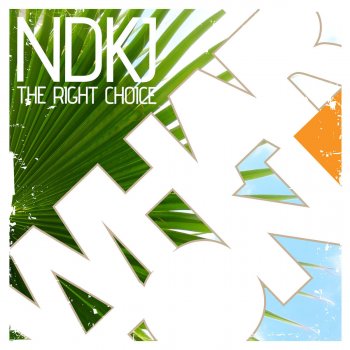 NDKj The Right Choice - Original Mix