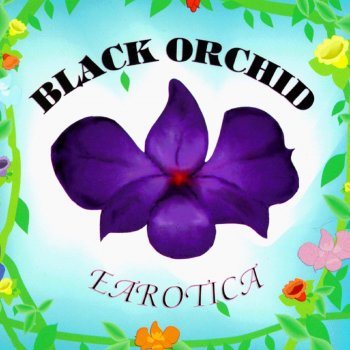 Black Orchid Dianna