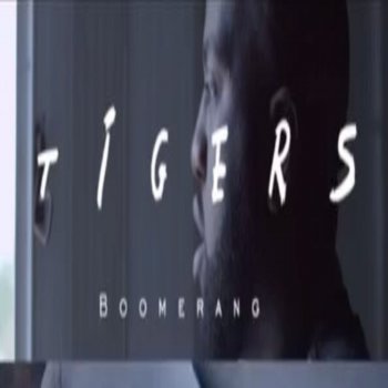 Tigers Boomerang