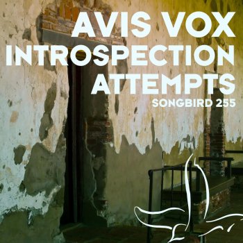 Avis Vox Introspection Attempts (Moonbeam Remix)