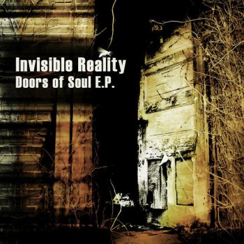 Invisible Reality Doors of Soul
