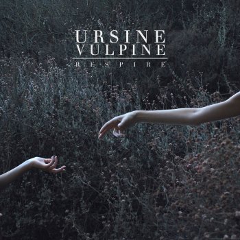 Ursine Vulpine Never Let Me Go