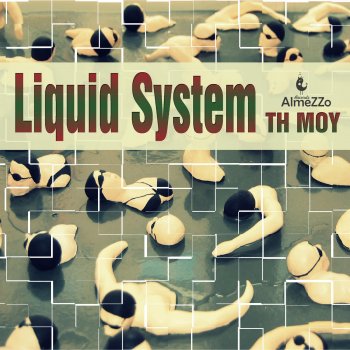 TH Moy Liquid System