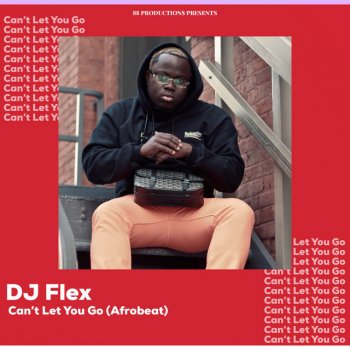 DJ Flex Can't Let You Go (Afrobeat)