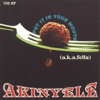 Akinyele The Robbery Song