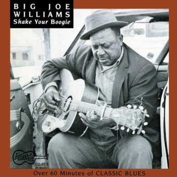 Big Joe Williams Forty Four Blues