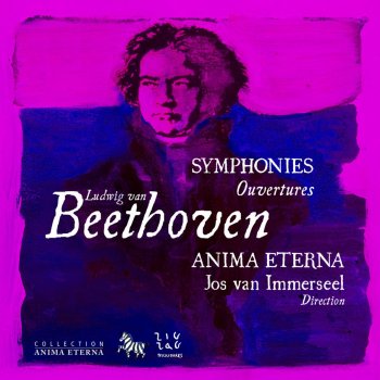 Ludwig van Beethoven feat. Anima Eterna & Jos Van Immerseel Symphony No. 8 in F Major, Op. 93: I. Allegro vivace e con brio