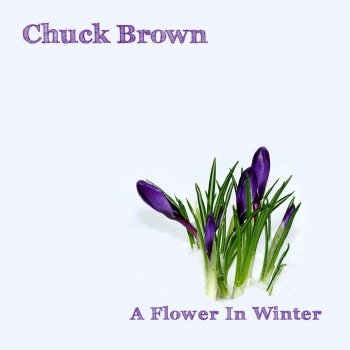 Chuck Brown A Flower in Winter