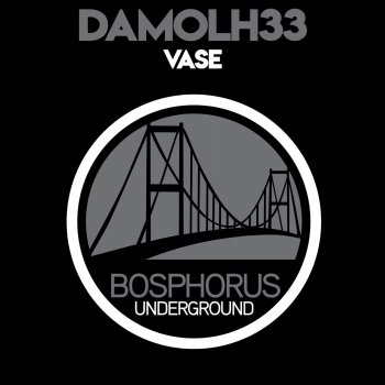 Damolh33 Vase - Original Mix