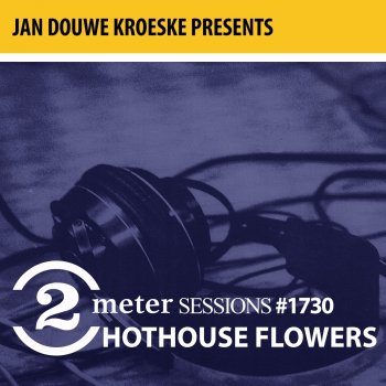 Hothouse Flowers Peace Tonight (2 Meter Session)