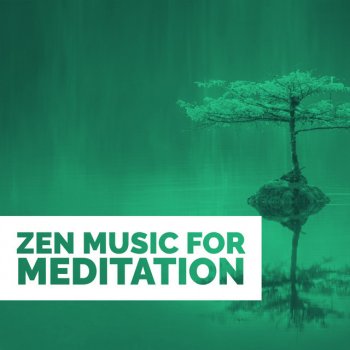 The White Noise Zen & Meditation Sound Lab White Noise and Theta Waves for Relaxation - Loopable