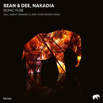 Sean & Dee Sonic Fuse (Agent Orange DJ Remix)