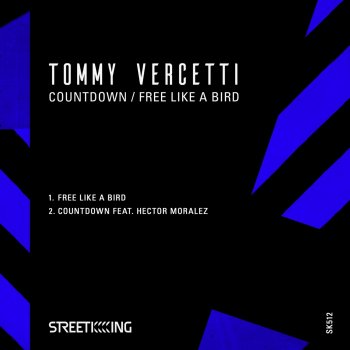 Tommy Vercetti Free Like a Bird