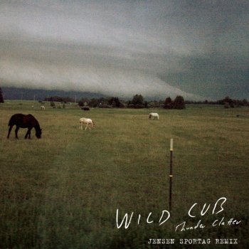 Wild Cub Thunder Clatter (Jensen Sportag Remix)