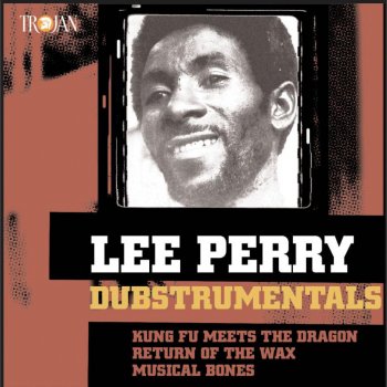 Lee "Scratch" Perry Enter the Dragon