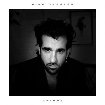 King Charles Animal