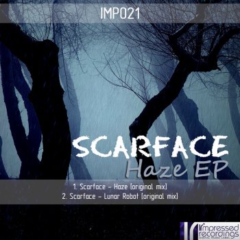 Scarface Haze (Original Mix)