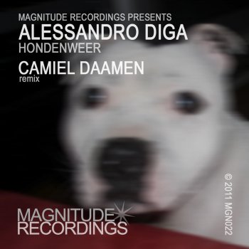 Alessandro Diga Hondenweer