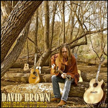 David Brown A Fine Day Indeed