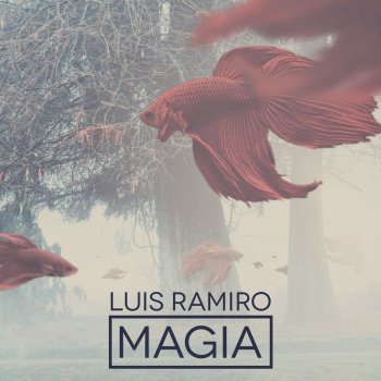 Luis Ramiro Magia