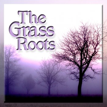 The Grass Roots Two Divided By Love
