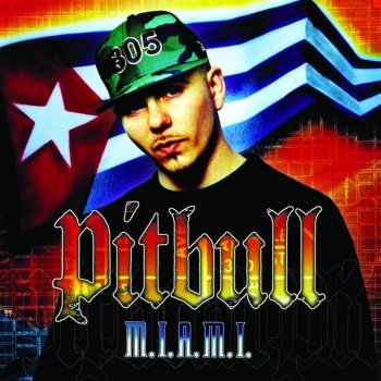 Pitbull feat. Wyclef Jungle Fever