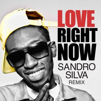 Ricky Blaze Love Right Now (Sandro Silva Remix)