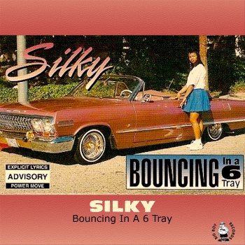 Silky Whats Your Name