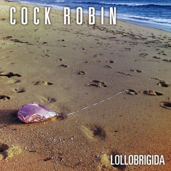 Cock Robin The Long Last Second