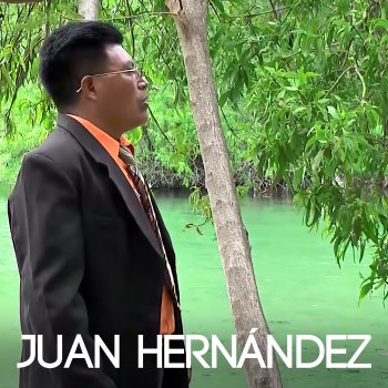 Juan Hernandez Viajando Voy