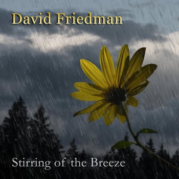 David Friedman Stirring of the Breeze