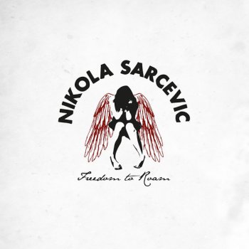 Nikola Sarcevic Into the Arms of a Stranger