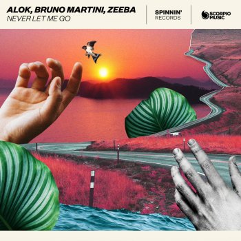 Alok feat. Bruno Martini & Zeeba Never Let Me Go