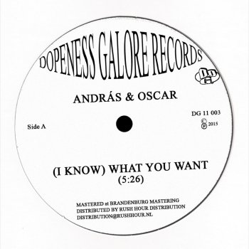 Andras & Oscar Looking Back (Tornado Wallace Remix)