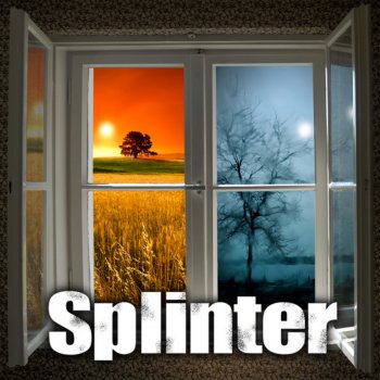 Splinter Home
