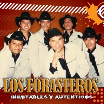 Los Forasteros feat. Gustavo Javier Remessar Como Yo Te Ame