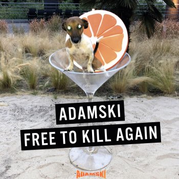 Adamski Kill or Be Killed