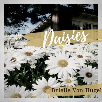 Brielle Von Hugel Daisies