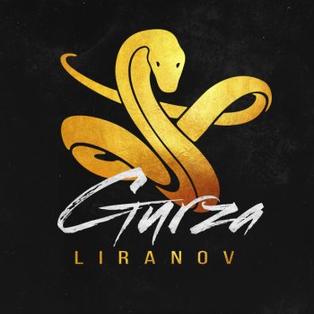 LIRANOV feat. Sasha Emers Gyurza - Sasha Emers Remix