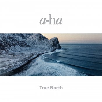 A-ha Forest For The Trees