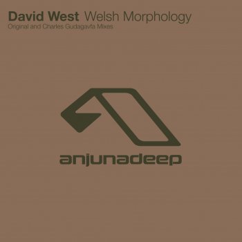 David West Welsh Morphology - Original Mix