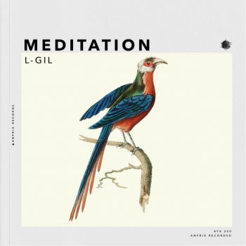 L-Gil Meditation