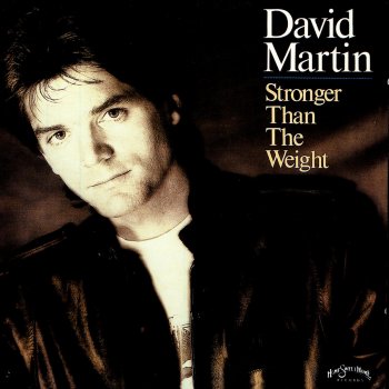 David Martin Lookin' For The Light
