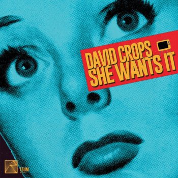 David Crops She Wants It - Stereo Mix