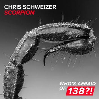 Chris Schweizer Scorpion