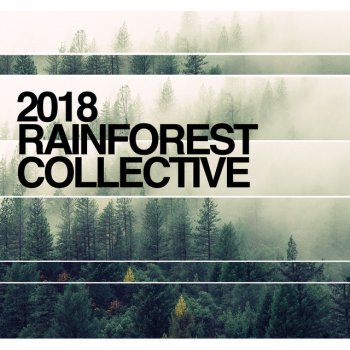 The Rainforest Collective Rain Woodland Walk