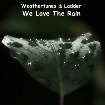 Ladder feat. Weathertunes We Love the Rain